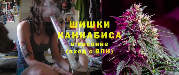мет Няндома